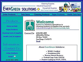 website design portfolio-evergreen solutions